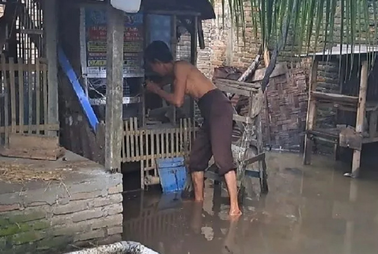 Hewan Ternak Warga Deli Serdang Mati Terendam Banjir - GenPI.co SUMUT