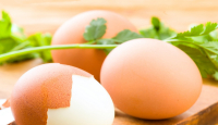 Makan Telur Bermanfaat untuk Membesarkan Otot, Benarkah? - GenPI.co