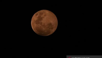 Ilmuwan Konfirmasi Sebuah Gua di Bulan yang Dapat Menampung Astronot Masa Depan - GenPI.co