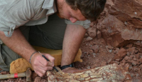 Peneliti Temukan Fosil Naga Maut, Rentang Sayapnya 9 Meter - GenPI.co
