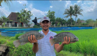 Sedih Kena PHK, Rifqi Abdul Kini Sukses Budidaya Ikan Nila - GenPI.co