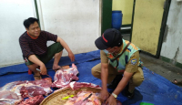 369 Kg Jeroan Sapi dan Domba Kurban Dimusnahkan di Kota Bandung - GenPI.co