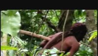 Penyintas Terakhir tak Dikenal di Hutan Amazon Meninggal, Sukunya pun Punah - GenPI.co