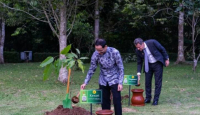 5 Jenis Benih Pohon Ditanam Delegasi G20 di Pelataran Borobudur - GenPI.co