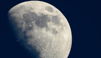Luar Biasa, Ilmuwan Australia Coba Menumbuhkan Tanaman di Bulan - GenPI.co