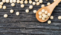 5 Manfaat Kacang Kedelai untuk Kesehatan, Faktanya Menakjubkan - GenPI.co