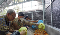 Teknologi Pengolahan Limbah Organik Pertama di Indonesia Ada di Rest Area Cibubur - GenPI.co