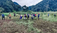 Perhutani Respons Soal Area Edelweis Rusak Dilindas Trail di Bandung - GenPI.co