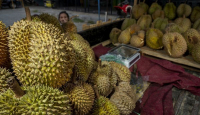 Catat! Ada Festival Durian Montong di Sulteng Pada Mei 2023 - GenPI.co