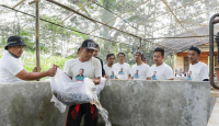 Bantu Ekonomi Warga, Nelayan Pesisir Dukung Ganjar Beri Bibit Ikan Lele - GenPI.co