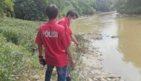 Penyebab Ribuan Ikan Mati di Sungai Cileungsi Bogor Belum Diketahui - GenPI.co