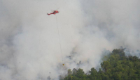 Polisi Buru Pelaku Pembakaran yang Menimbulkan Karhutla di Riau - GenPI.co