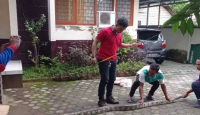 Bahaya, Ular Piton Besar Masuk Rumah Warga di Lombok Tengah - GenPI.co