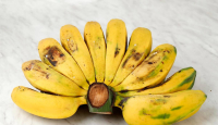 Morning Banana Diet Diklaim Dapat Menurunkan Berat Badan - GenPI.co