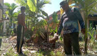 Gajah Liar di Aceh Jaya Masuk Permukinan, Warga Mulai Ketakutan - GenPI.co