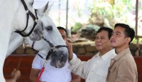 Ketum Projo Sebut Jokowi Tidak Mau Gibran Jadi Cawapres Prabowo - GenPI.co