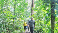 Jajal Trek Lari Lintas Alam Bukit Lawang, Menpora Pecahkan Rekor - GenPI.co