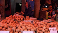 Pedagang Kesulitan Cari Untung Akibat Harga Telur Ayam di Medan Tinggi - GenPI.co