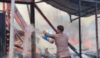 9 Ruko dan 5 Petak Kos Ludes Akibat Kebakaran di Papua Selatan - GenPI.co
