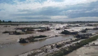 386 Hektare Lahan Terdampak Bencana Banjir di Parigi Moutong - GenPI.co