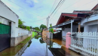 Ratusan Rumah Terendam Banjir di Gorontalo Dipicu 3 Jam Hujan Lebat - GenPI.co