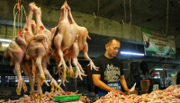 Harga Daging Ayam Masih Tinggi, Ini yang Dilakukan Pemprov Jabar - GenPI.co