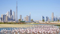 5 Hidden Gems Dubai yang Jarang Diketahui, Traveler Wajib Catat! - GenPI.co