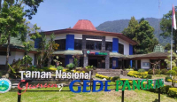 BB TNGGP Cianjur Buka Kembali Pendakian Gunung Gede Pangrango - GenPI.co