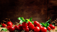 4 Khasiat Tomat Ceri Ternyata Menakjubkan, Bikin Penyakit Kronis Ambrol - GenPI.co
