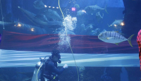 HUT RI: Jakarta Aquarium & Safari Kibarkan Bendera Merah Putih Terpanjang di Bawah Laut - GenPI.co