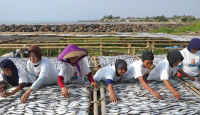Dengar Keluhan Warga, Nelayan Ganjar Lakukan Langkah Jitu - GenPI.co