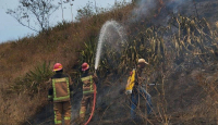 Kebakaran Hutan di Gunung Guntur Garut Disebabkan Ulah Kelompok Remaja SMP - GenPI.co