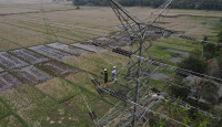PLN Selesaikan SUTT 150 kV Kesugihan-Gombong, Sistem Kelistrikan Jateng Makin Andal - GenPI.co
