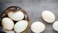 4 Khasiat Makan Telur Bebek untuk Kesehatan, Rugi Kalau Tak Suka - GenPI.co