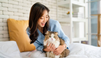 Pelihara Kucing atau Anjing Dapat Memperlambat Penurunan Kognitif, Kata Penelitian - GenPI.co