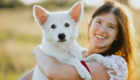 4 Hal yang Harus Kamu Ketahui Jika Ingin Memiliki Anjing Peliharaan - GenPI.co