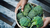 3 Cara Memasak Brokoli dengan Sempurna Seperti di Restoran - GenPI.co
