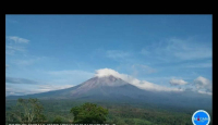 Tetap Waspada! Gunung Semeru Alami 19 Kali Gempa Letusan - GenPI.co
