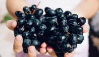 Makan Anggur Hitam Setiap Hari, Manfaatnya Nggak Main-main - GenPI.co