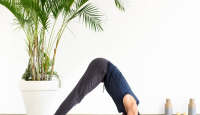 Cobalah Pose Lumba-lumba Ketika Yoga, Rasakan Manfaat yang Luar Biasa - GenPI.co