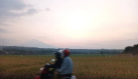 Kabar Baik! 22.420 Hektare Tanaman Padi di Cirebon Panen April 2024 - GenPI.co