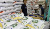Penuhi Kebutuhan Lebaran, Indonesia Impor 22.500 Ton Beras dari Kamboja - GenPI.co