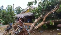 Angin Puting Beliung Terjang Jepara, 121 Rumah Warga Rusak - GenPI.co