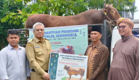 Presiden Jokowi Berkurban Sapi Seberat 1,036 Ton di Kalimantan Barat - GenPI.co