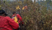 Lahan Seluas 10 Hektare di Karo Sumatra Utara Terbakar, BNPB Cari Penyebabnya - GenPI.co