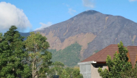 Lahan Seluas 286 Ha di Bukit Anak Dara Gunung Rinjani Terbakar - GenPI.co