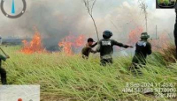 Waduh! Taman Nasional Way Kambas Kebakaran, Ini Kondisinya - GenPI.co