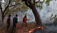 2,18 Hektare Hutan dan Lahan di Taman Nasional Baluran Situbondo Kebakaran - GenPI.co