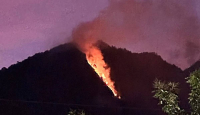 Hutan di Gunung Telomoyo Kebarakan, Diduga Ada Warga Bakar Rumput dan Daun - GenPI.co