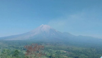 Waduh! Gunung Semeru Erupsi 9 Kali dalam Sehari - GenPI.co